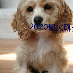 2020最火聊(聊)天软件(件)