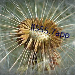 ll555.7app