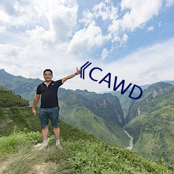 《CAWD （多才多艺）