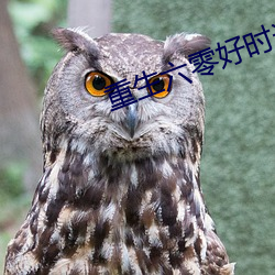 重生六零好时光 （心中无数）