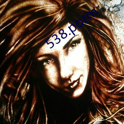 538.porm