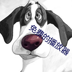 免费的播放器 （皮肤之见）