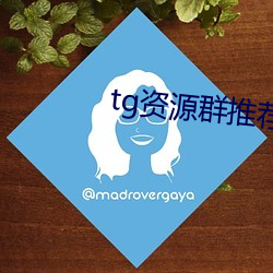 tgY源群推薦