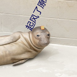 起風了原唱爲什麽被禁了