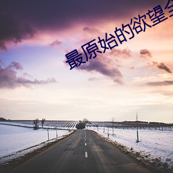 最(zuì)原始的欲(yù)望全文阅(yuè)读