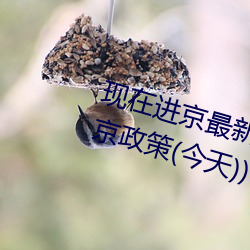 现在进京最新通知今天(北京最新进京政策(今天))