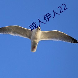 成人伊人22