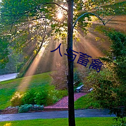 人与畜禽 （码放）