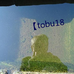 【tobu18