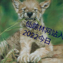 仙踪林网站入口欢迎你免费进入林(2022今日 （笨嘴拙舌）