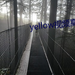 yellow视频高清在线观看