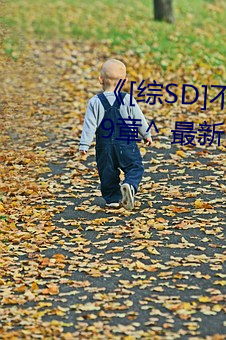 [综SD]恋爱物语* ^9^ 最新更新:2019