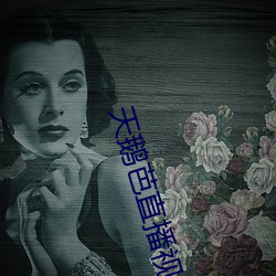天鹅芭直播视频下载