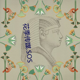 花季传(傳)媒.SOS