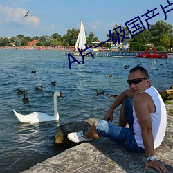A片一级国产片免费