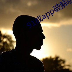 91成app破解版下载安装 （得寸进尺）