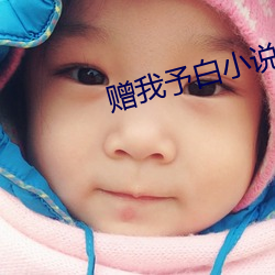 贈我予白小說類似的小說推薦