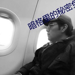 暗格裏的秘密免費星辰影視