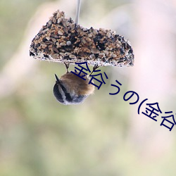 金谷うの(金谷宇乃