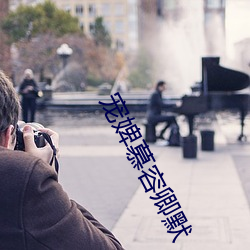 寵婢慕容卿默
