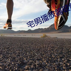 宅男播放器破解版