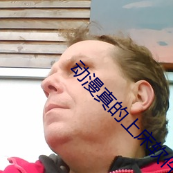 动漫真的上床软件