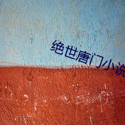 绝世唐门小说