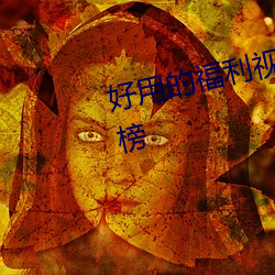 好(好)用(用)的福利(利)视频导航(航)大(大)全(全)app排行榜