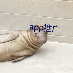 appƹ ĳ棩