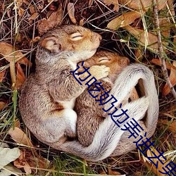 (й) - ٷվ
