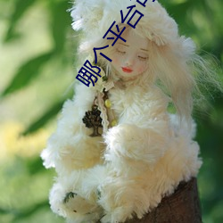 哪個平台可以直播不封號