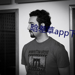晗差草app下载 （摘要）