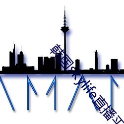 韩国skylife直播平台dmb