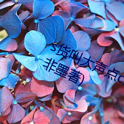 s货叫大声点c烂你的sbh最新章节(云非墨著)