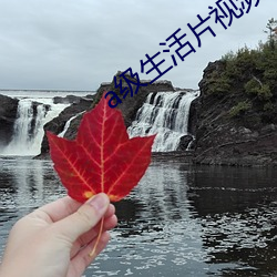 a级生活片视频