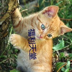 福利(lì)天堂