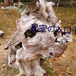 金年会 | 诚信至上金字招牌