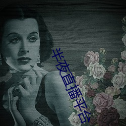 半夜直播平台