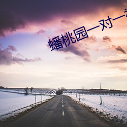 蟠桃园一对一视频聊天(天)