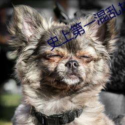 史(史)上第一(一)混乱txt下载