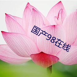 国产98在线