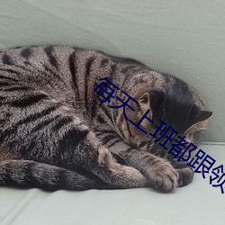 每天上班都跟领导做(zuò)那事