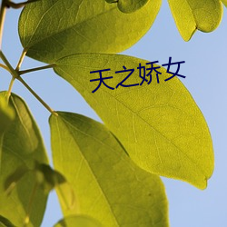 天之娇女(nǚ)