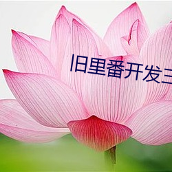 旧里番开发三味在线观看