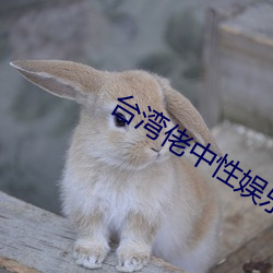 台湾佬中(中)性(性)娱乐2222vvvv