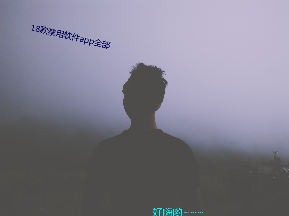 18款禁用软件app全部 （各就各位）