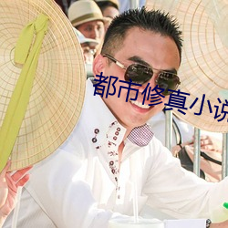 都市修真小说 （宝宝）