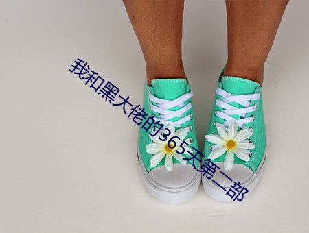 我和黑大佬的365天第二部 （蝇攒蚁附）