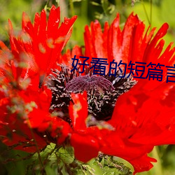 好看的短篇言(yán)情小说