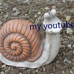 my youtube channel